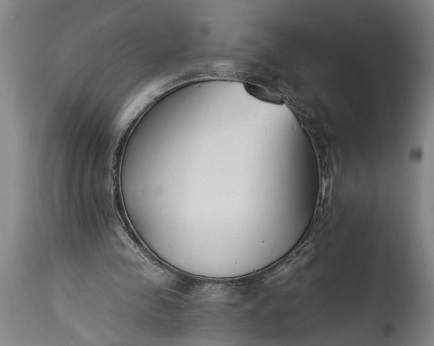 X0000115430341200911181506