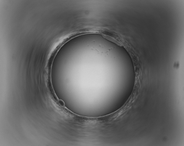 X0000115430342200911181506