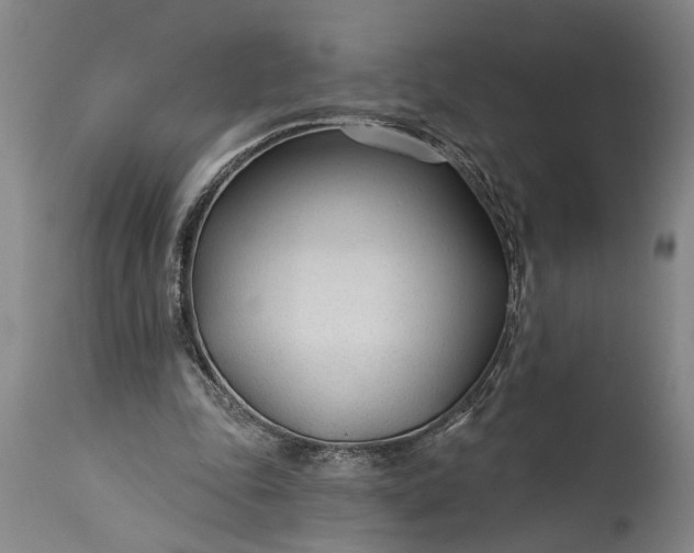 X0000115430343200911181506