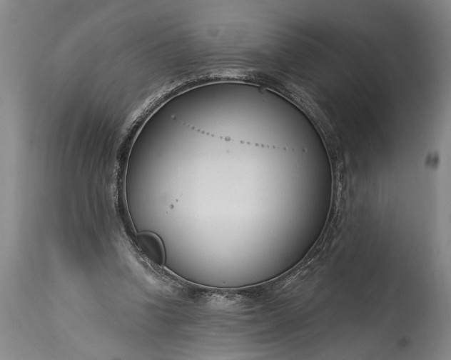 X0000115430346200911181506