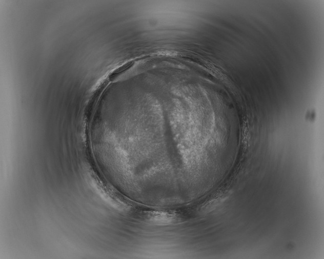 X0000115430347200911181506