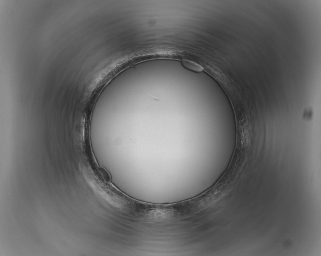 X0000115430350200911181506