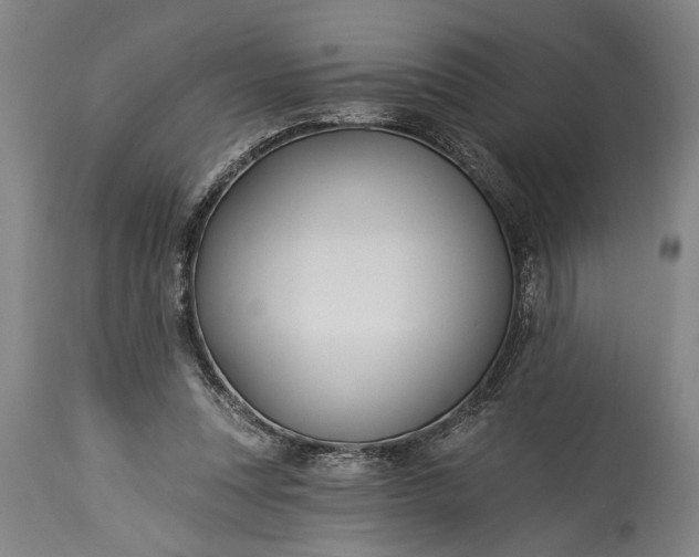 X0000115430351200911181506