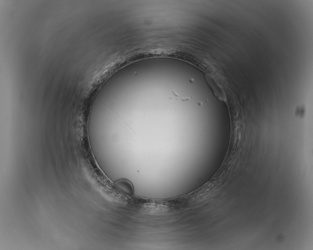 X0000115430354200911181506