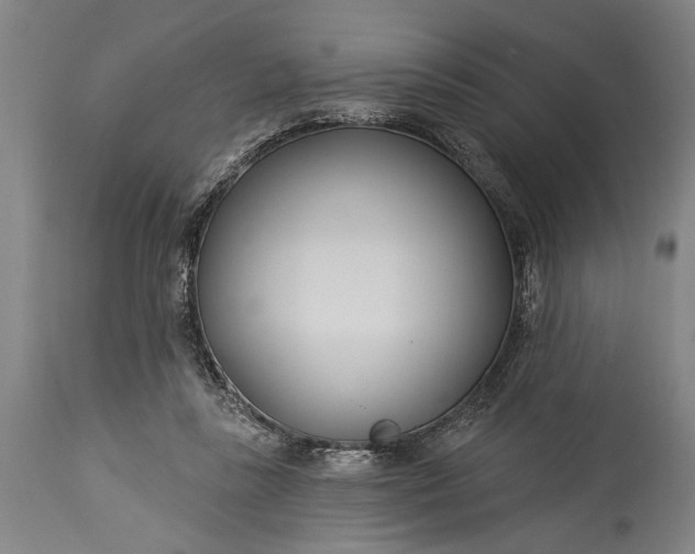 X0000115430355200911181506