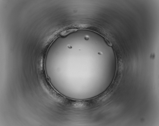 X0000115430358200911181506