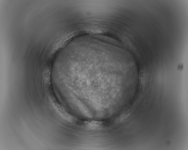 X0000115430359200911181506