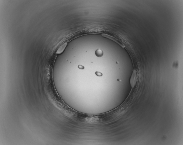 X0000115430362200911181506