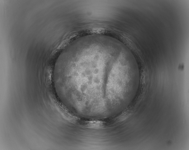 X0000115430363200911181506