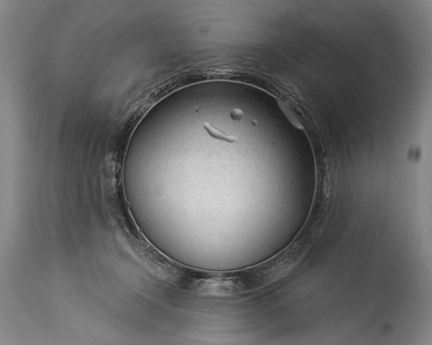 X0000115430366200911181506