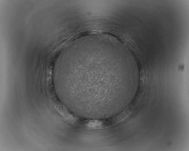 X0000115430369200911181506