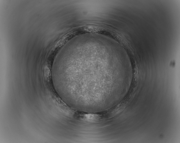 X0000115430371200911181506