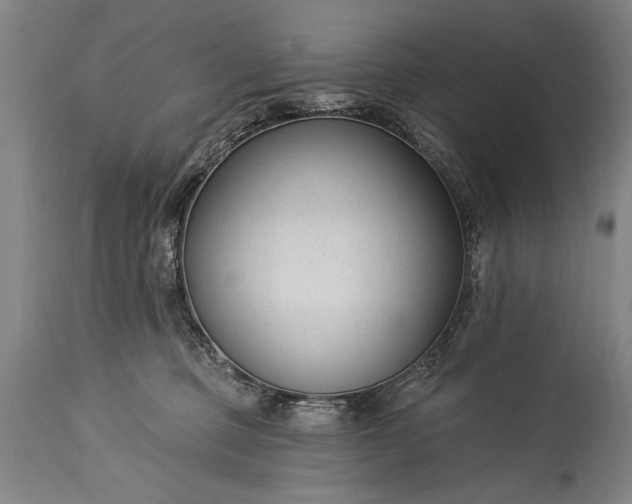 X0000115430373200911181506