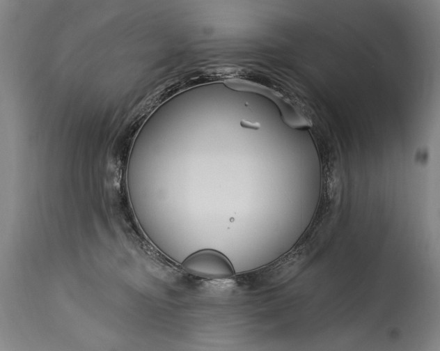 X0000115430374200911181506