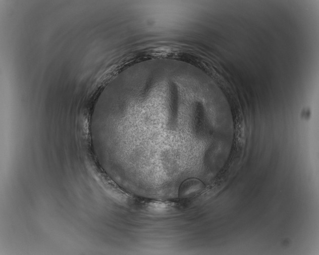 X0000115430375200911181506