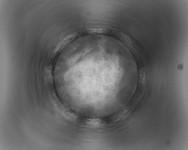 X0000115430377200911181506