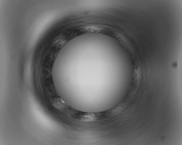 X0000115430381200911181506