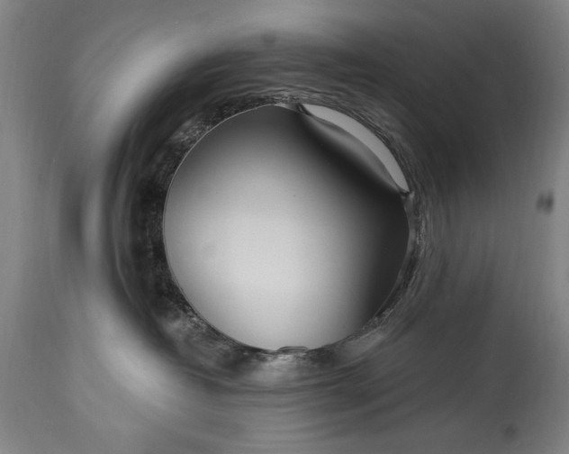 X0000115430382200911181506