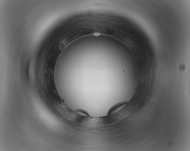 X0000115430383200911181506