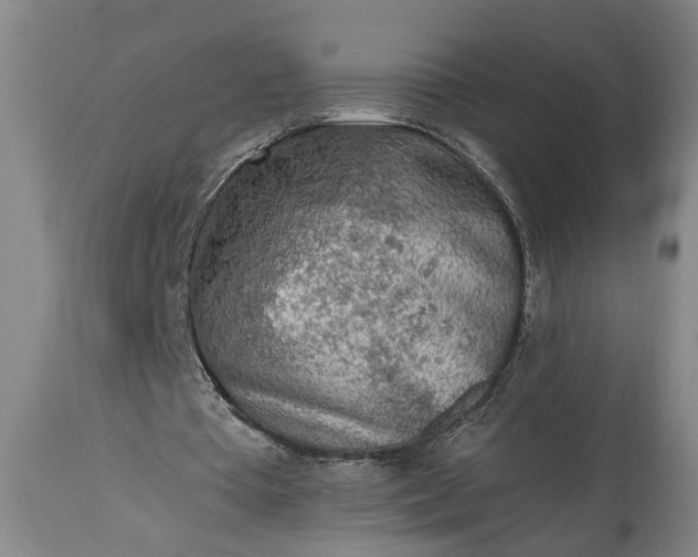 X0000115430385200911181505