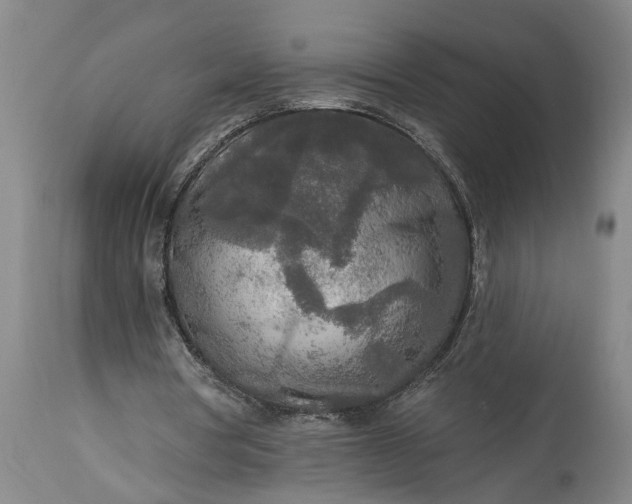 X0000115430386200911181505