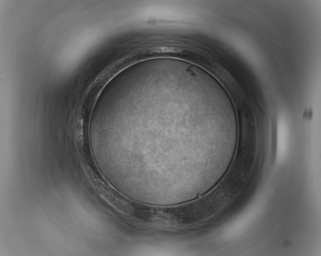 X0000115430387200911181505