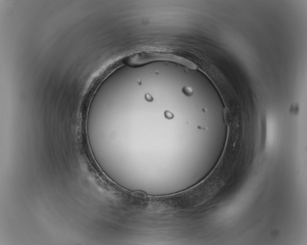 X0000115430388200911181505