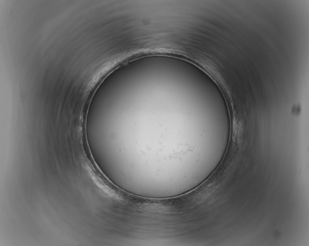 X0000115430389200911181505