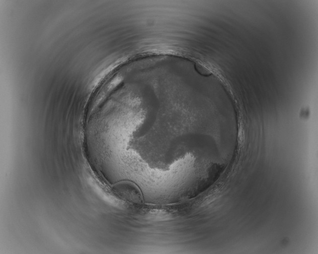 X0000115430390200911181505