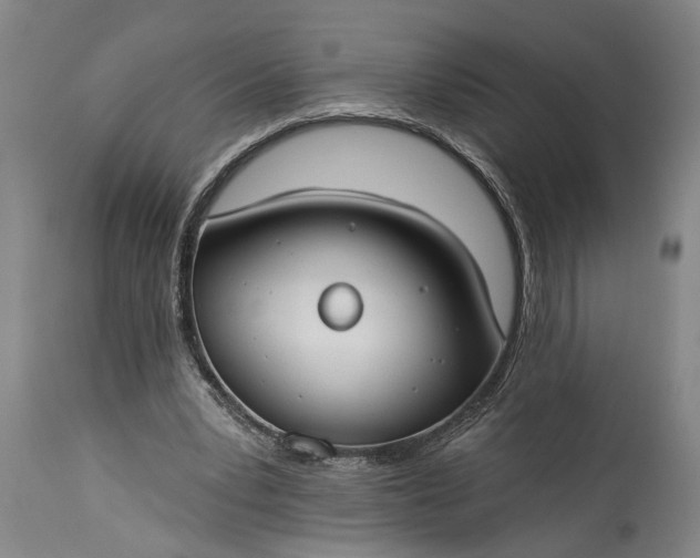 X0000115430391200911181505