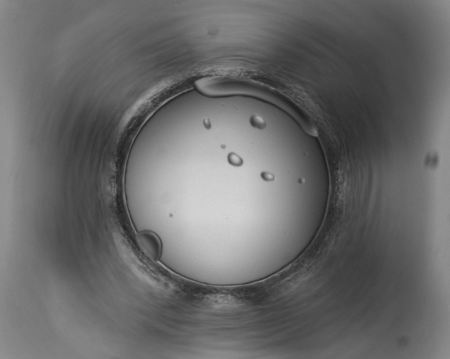 X0000115430392200911181505