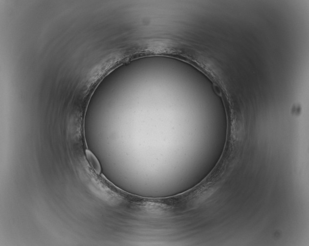 X0000115430393200911181505