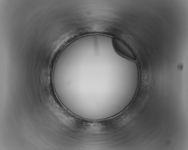 X0000115430395200911181505