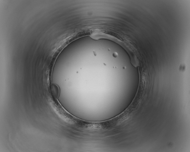 X0000115430398200911181505