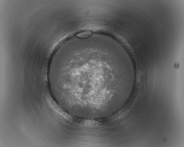 X0000115430399200911181505