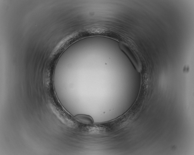 X0000115430400200911181505