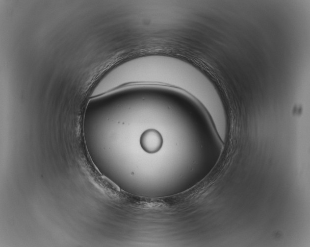 X0000115430401200911181505