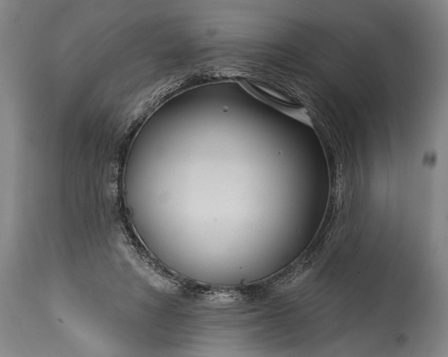 X0000115430402200911181505