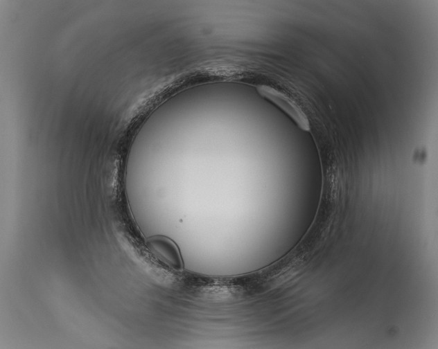 X0000115430404200911181505