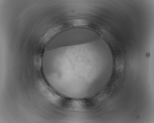 X0000115430405200911181505