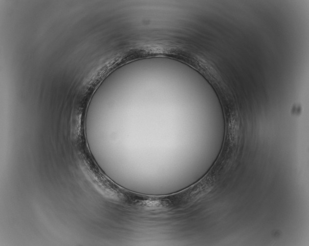 X0000115430406200911181505