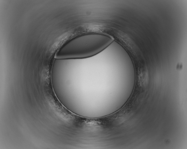 X0000115430407200911181505