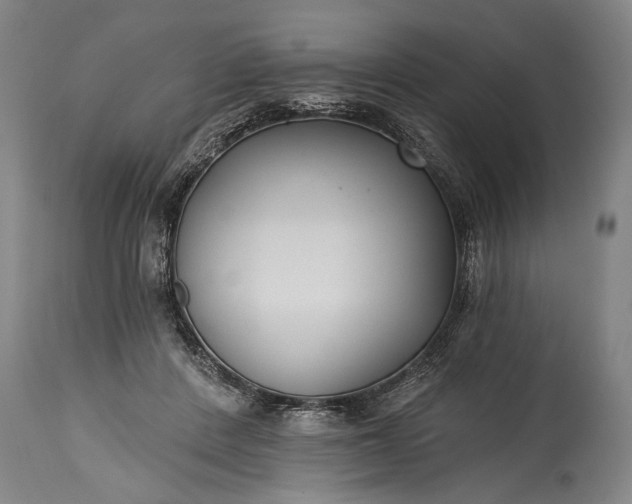 X0000115430408200911181505