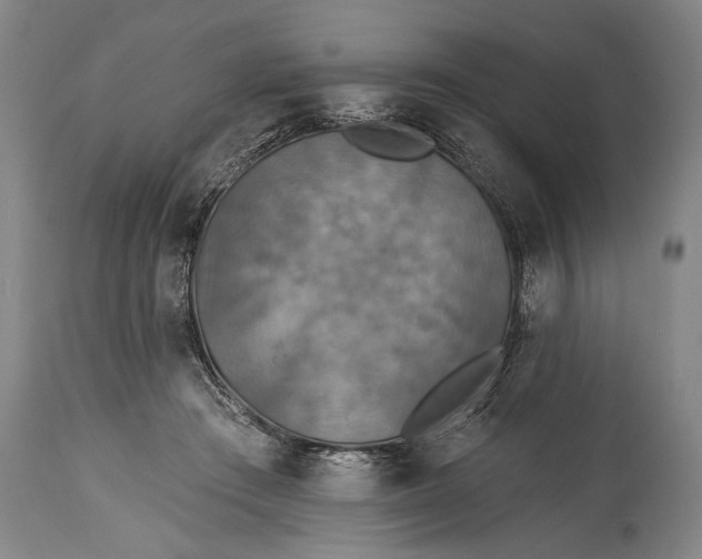 X0000115430409200911181505