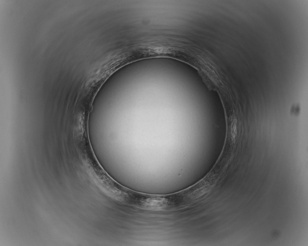 X0000115430410200911181505