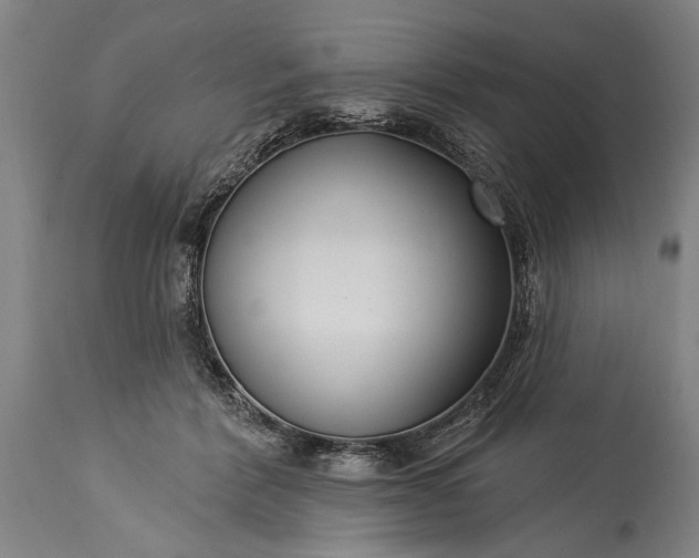 X0000115430412200911181505