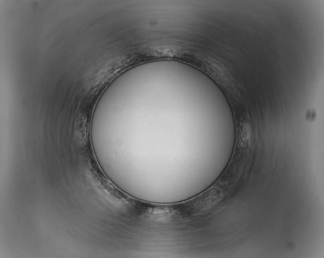 X0000115430414200911181505