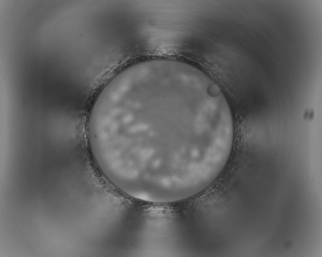 X0000115430415200911181505