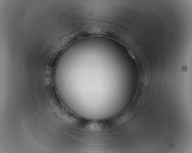 X0000115430416200911181505