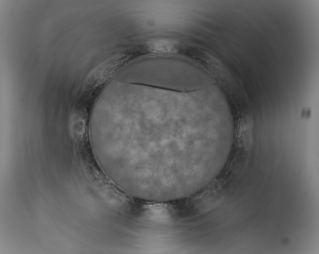 X0000115430417200911181505